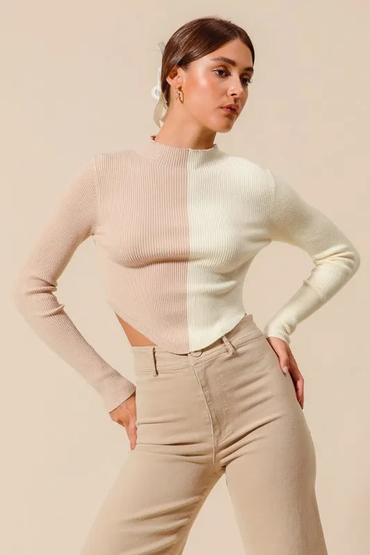 Front view showing high neckline and long sleeves of Bess Color Block Crop Sweater Top.