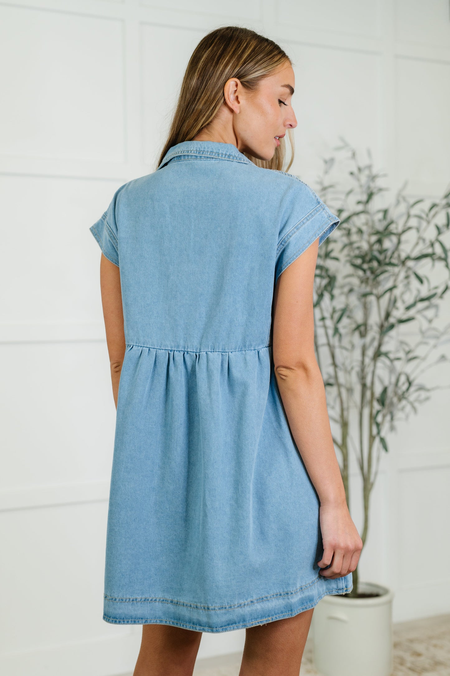 Back view of Francis Denim Dress showing soft denim fabric and casual fit.