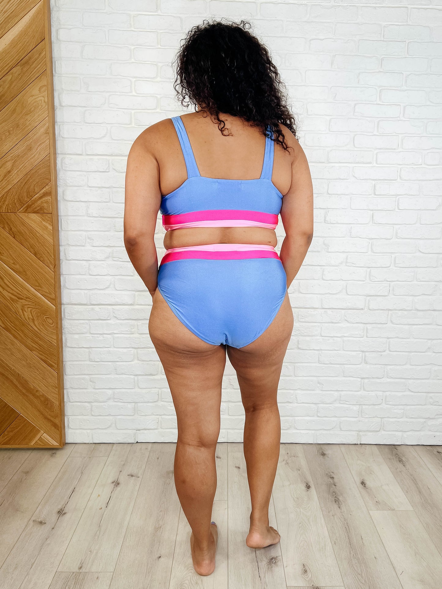 Plus size Venice Swim Bottoms back view, cheeky fit and high-rise banded waist.