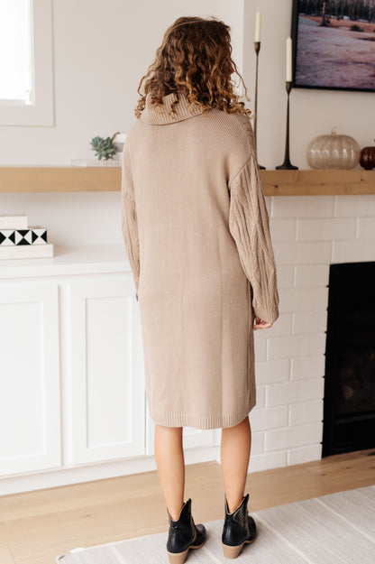 Back view of Bunny Turtleneck Sweater Dress featuring dropped shoulders and shift-style fit.
