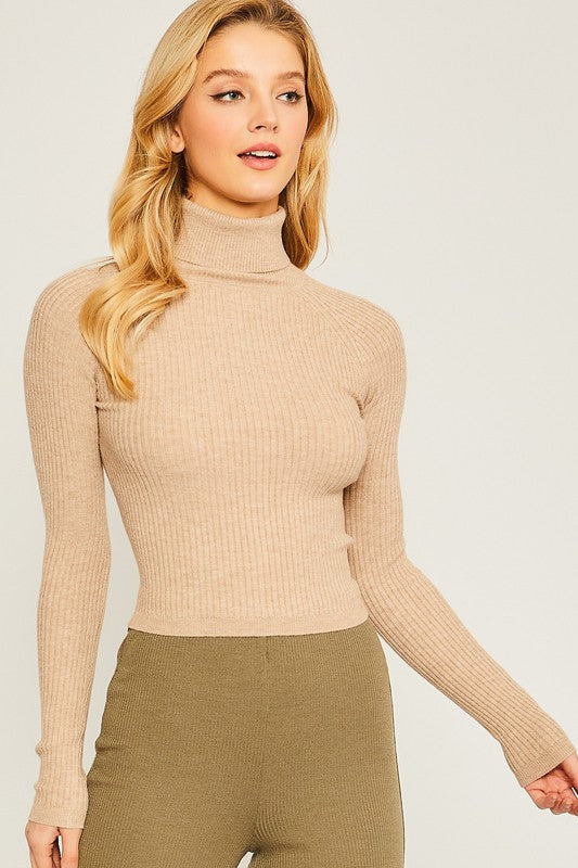 Maritza Turtleneck Ribbed Knit Sweater Top