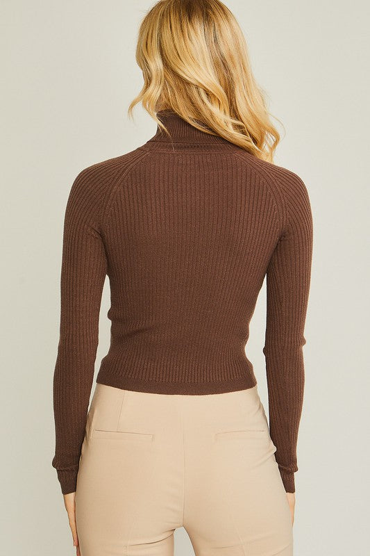 Maritza Turtleneck Ribbed Knit Sweater Top