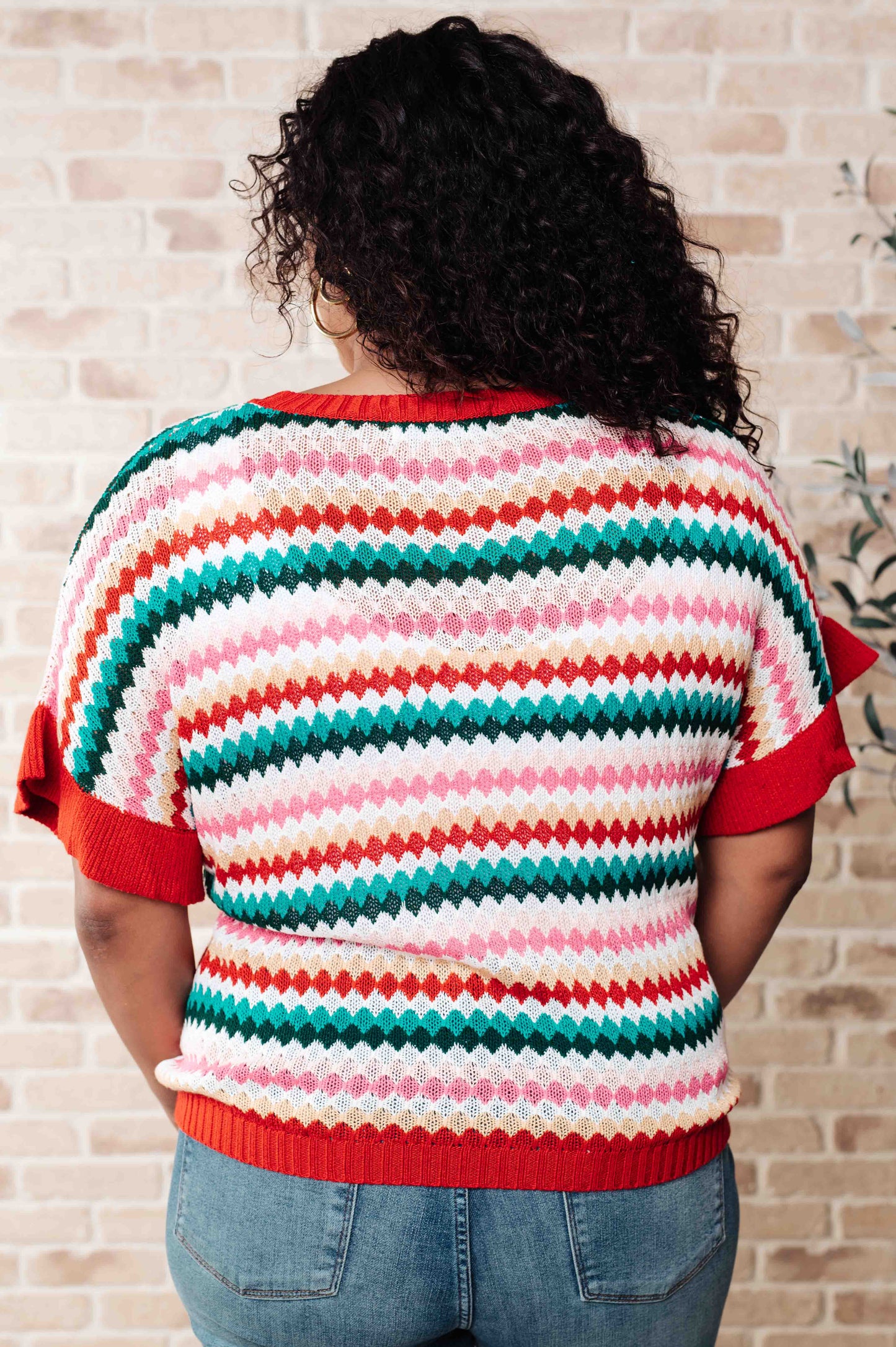 Plus size back view of Novalee striped knit top highlighting multicolor stripes and ribbed hem